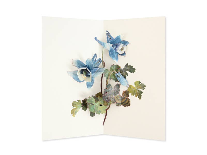 Columbine Greeting Card