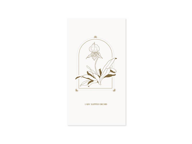 Lady Slipper Orchid Greeting Card