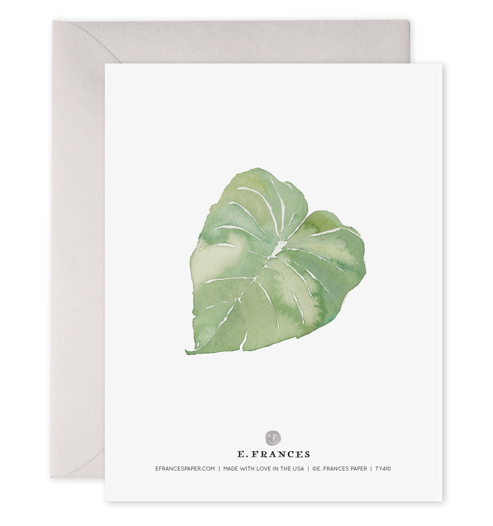 Thank You Leaves Greeting Card (Boxed Set of 6)