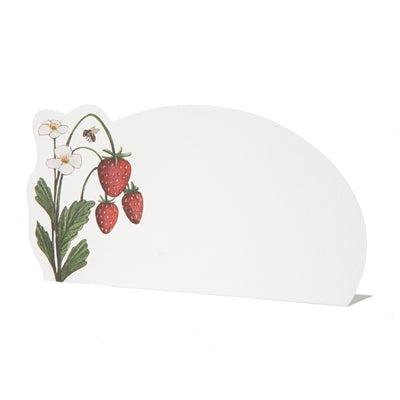 Placecards, Set of 12