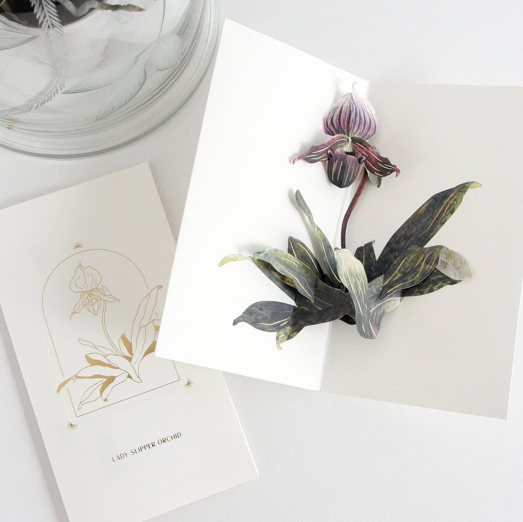 Lady Slipper Orchid Greeting Card