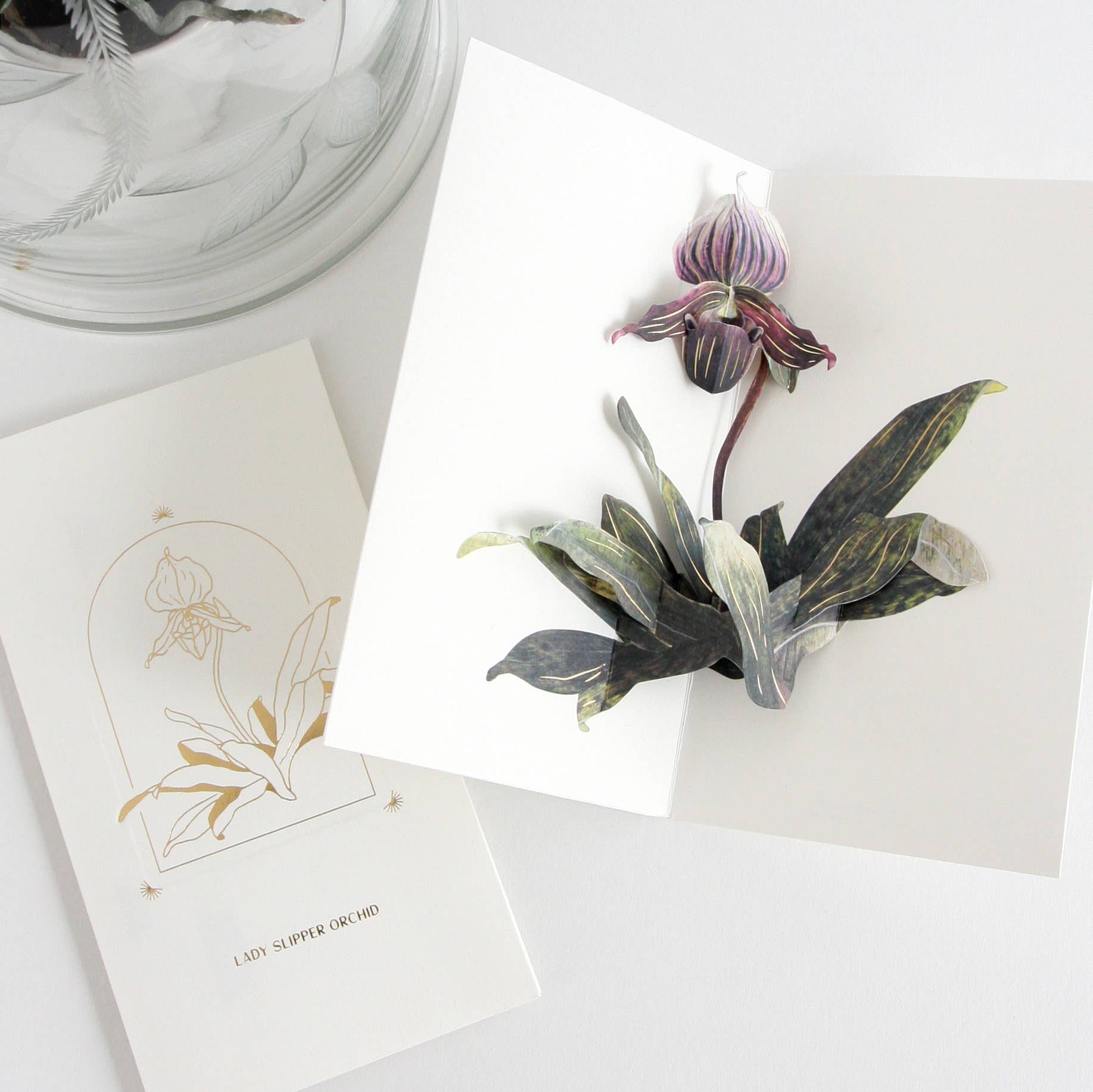 Lady Slipper Orchid Greeting Card