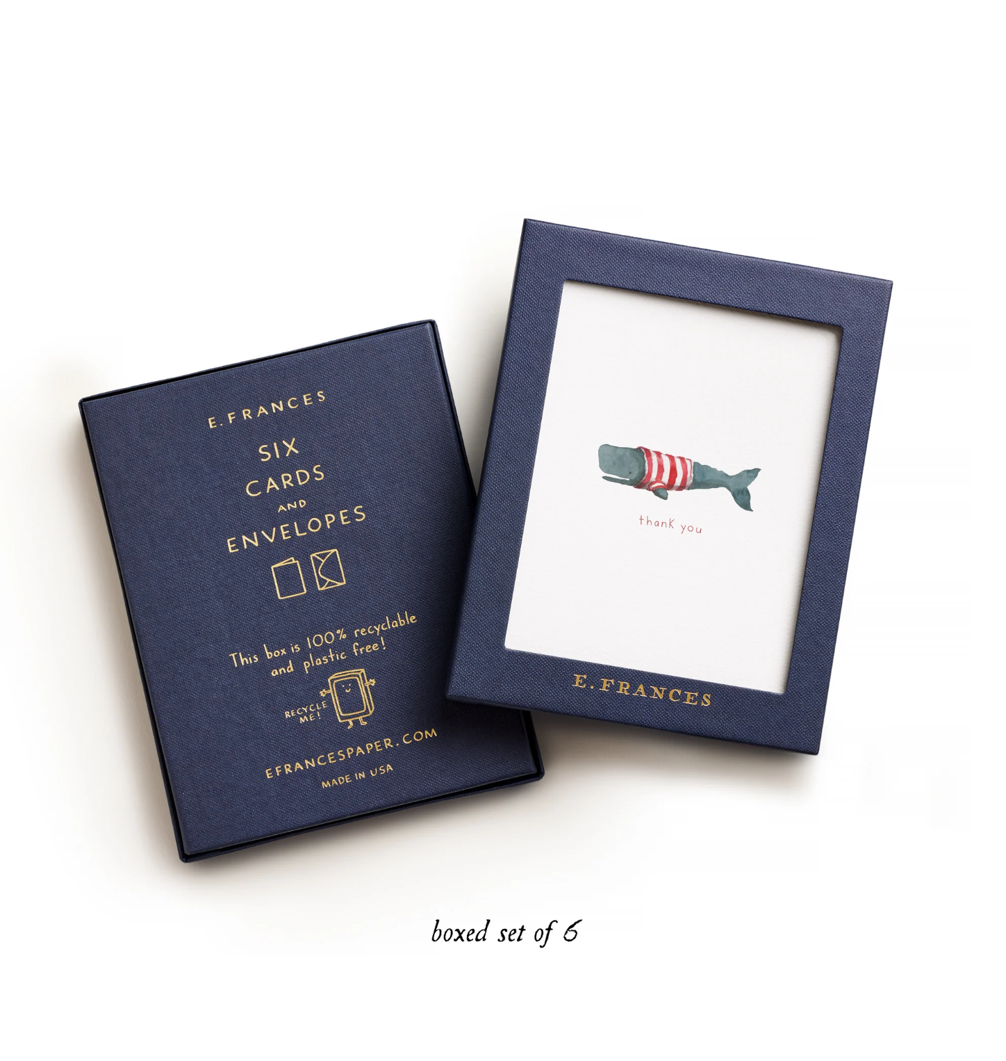 Whale Thanks | Thank You Card (Boxed Set of 6)