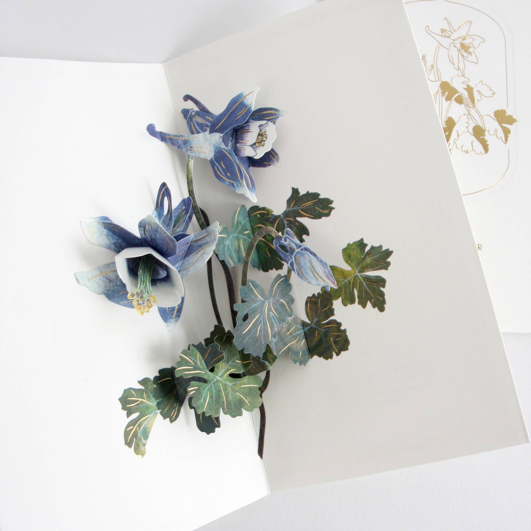 Columbine Greeting Card
